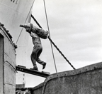 loading bananas onto ship