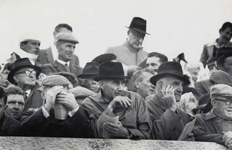 horse races