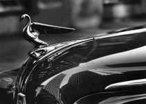 reflections in car hood